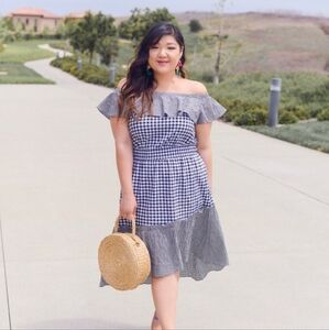 Rachel Roy gingham midi dress Size 1X